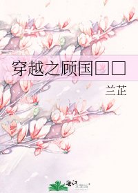 穿越之顾国□□